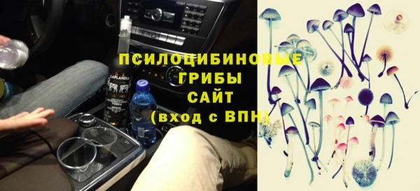 спиды Абаза
