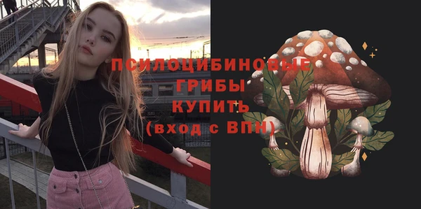 дурь Алексин